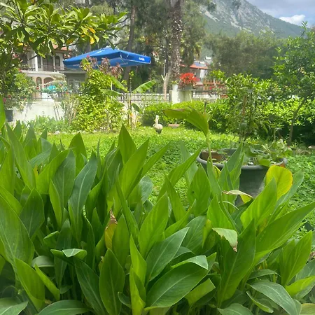 Lejlighedshotel Nova Aparts