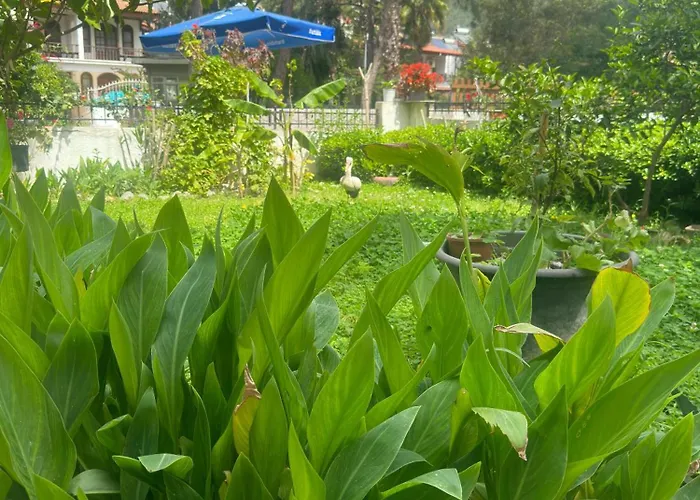 מלון דירות Nova Aparts